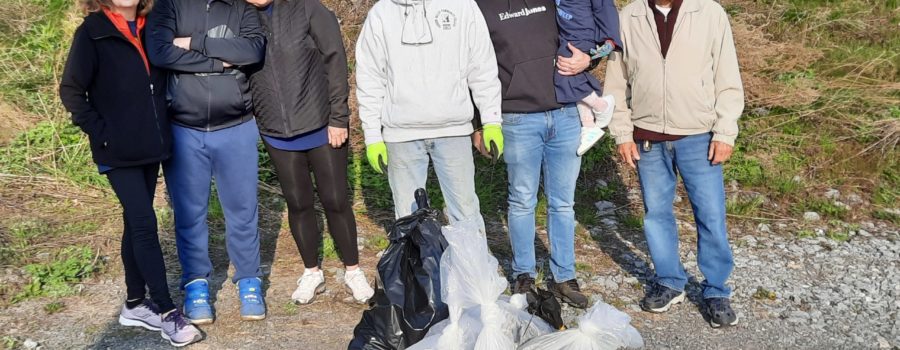 Rotarians Clean Up Along Erie Canal